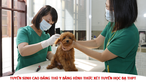 Học thú y