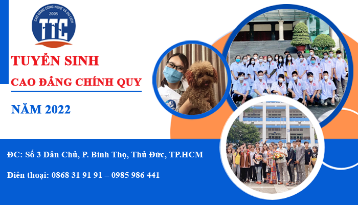 Cao đẳng du lịch